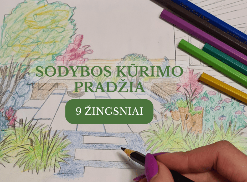 Daugiau informacijos apie "Sodybos kūrimo pradžia"