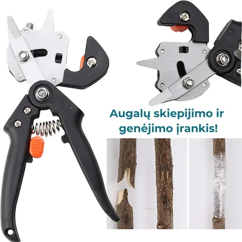 Daugiau informacijos apie "Vaismedžių skiepijimo ir genėjimo sekatorius"